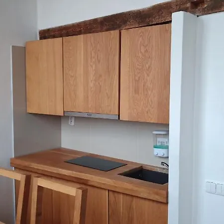 Apartamento Bydlení V Centru Ov Blízko Stodolní, Bez Výtahu