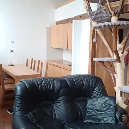 Bydleni V Centru Ov Blizko Stodolni, Bez Vytahu Apartament *