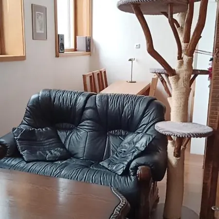 Bydleni V Centru Ov Blizko Stodolni, Bez Vytahu Apartament *
