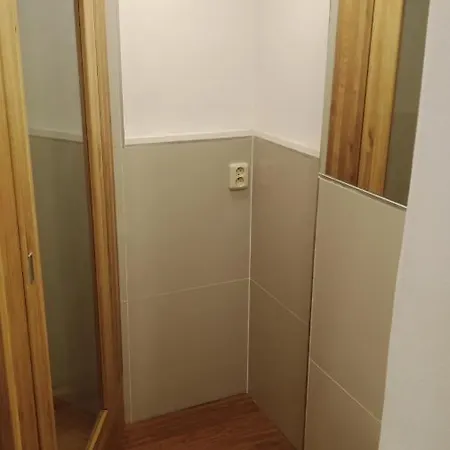 Bydleni V Centru Ov Blizko Stodolni, Bez Vytahu